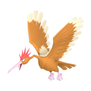 fearow 0 siyahı